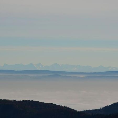 Doller Villa 4 stars Hot Tub Mountain Ski Ballon d'Alsace Sewen Exteriör bild