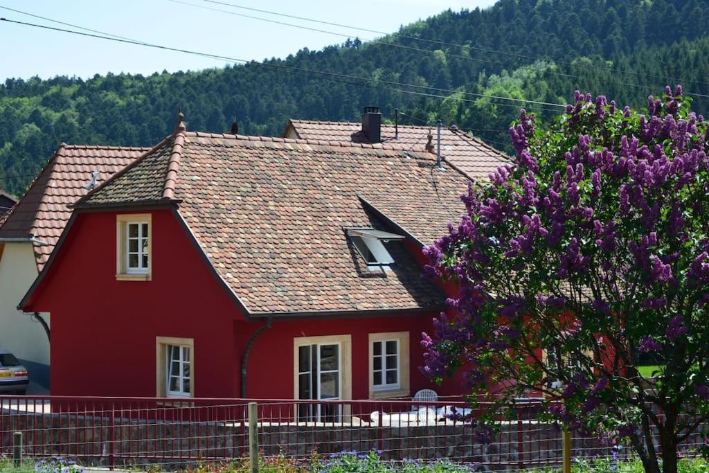 Doller Villa 4 stars Hot Tub Mountain Ski Ballon d'Alsace Sewen Exteriör bild