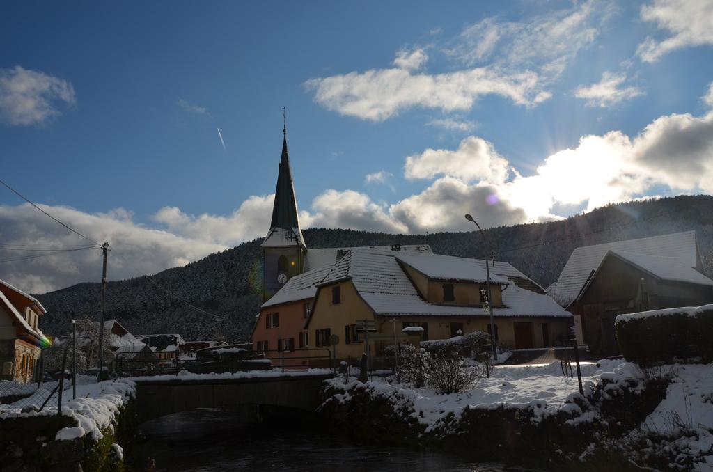 Doller Villa 4 stars Hot Tub Mountain Ski Ballon d'Alsace Sewen Rum bild